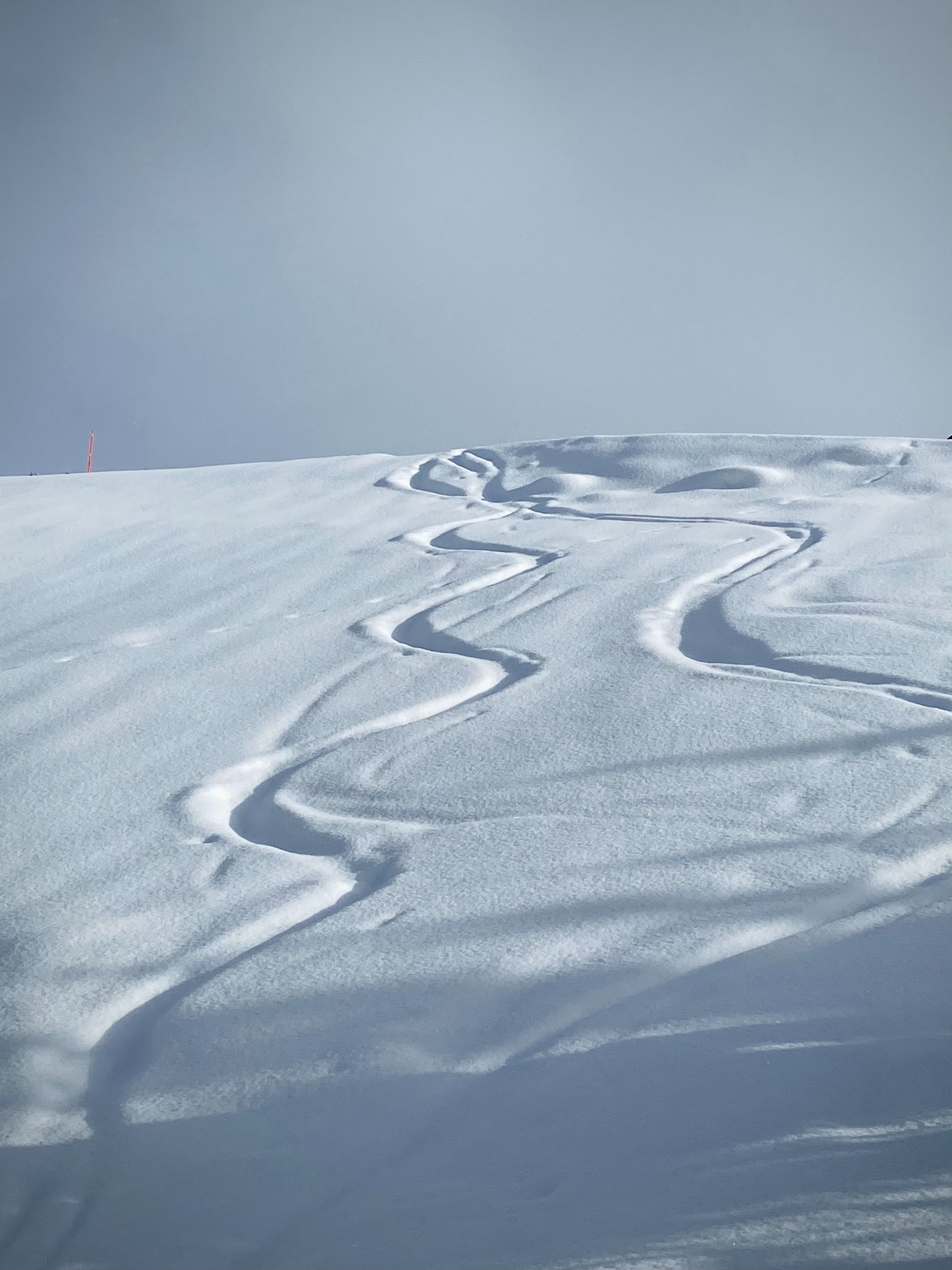 Skiing image by Arno Senoner, featured in the original case study